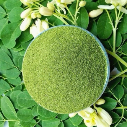 Drumstick Leaves Powder